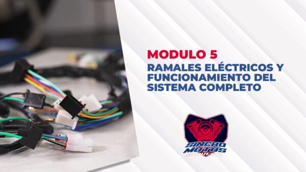 Módulo 5: Ramales Eléctricos y Funcionamiento del Sistema Completo